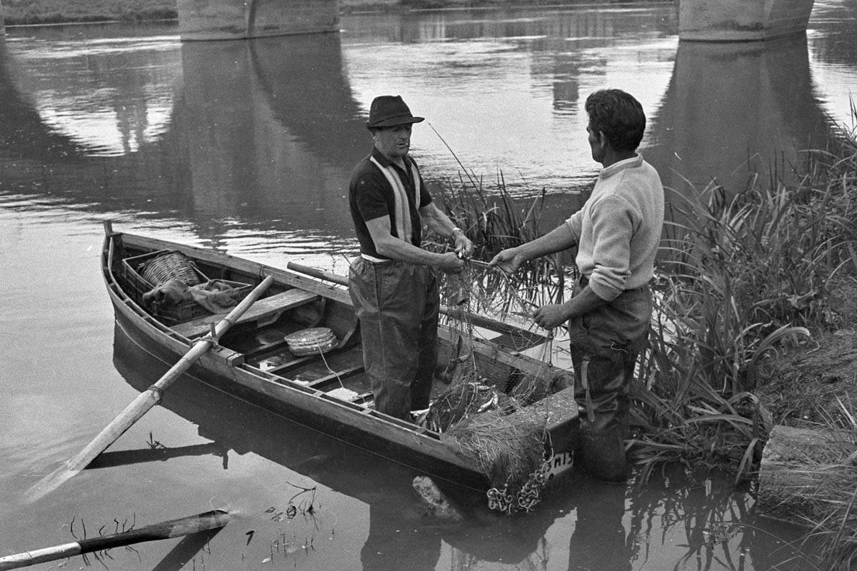 Chapresto – Pesca de peces para San Bernabe (Cofradía pez) 10 Junio 1975